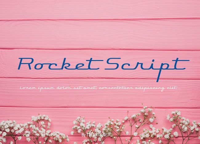 Rocket Script example